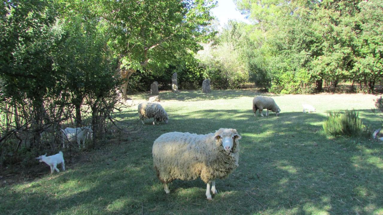 Agriturismo "Borgo Madonna Degli Angeli" - Charming Cottages In The Gardens ! Tocco da Casauria Exterior foto