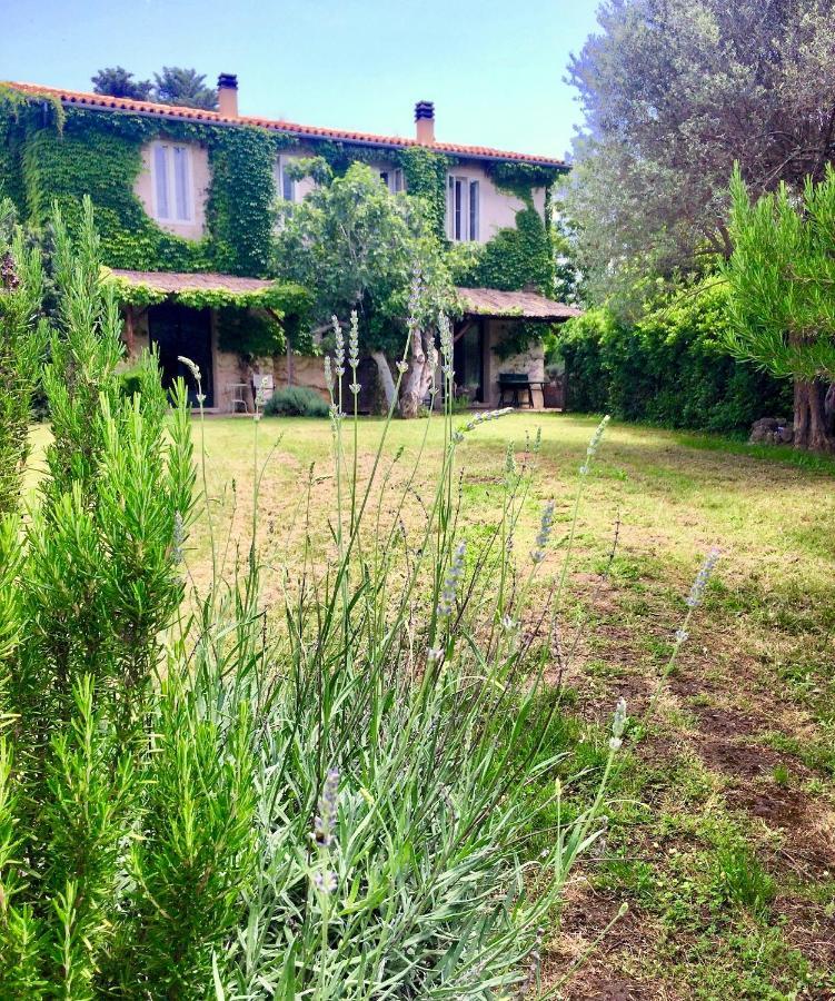 Agriturismo "Borgo Madonna Degli Angeli" - Charming Cottages In The Gardens ! Tocco da Casauria Exterior foto