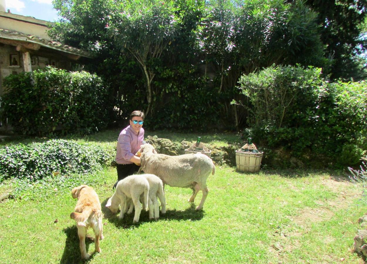 Agriturismo "Borgo Madonna Degli Angeli" - Charming Cottages In The Gardens ! Tocco da Casauria Exterior foto