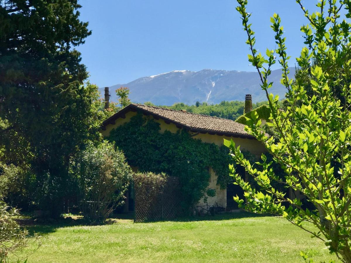 Agriturismo "Borgo Madonna Degli Angeli" - Charming Cottages In The Gardens ! Tocco da Casauria Exterior foto